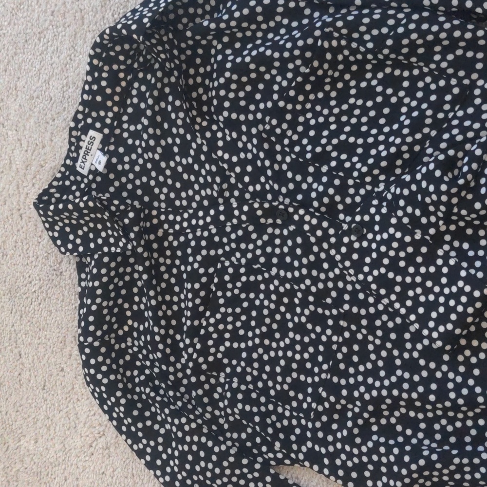 Express Long Sleeve v-neck Button down